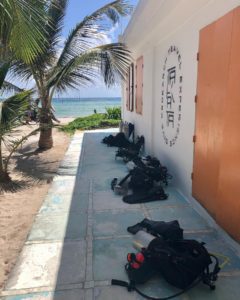 IDC and Divemaster in Mahahual 
