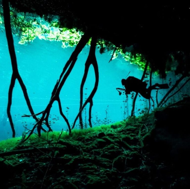 cavern cave diving The GoPro Family mexico