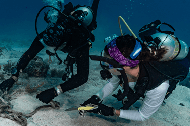 two scuba divers recovering trash underwater