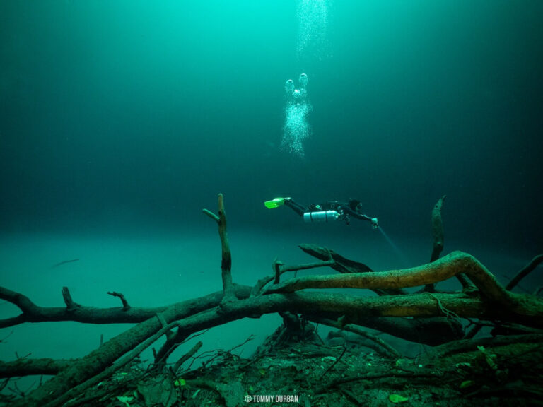 Angelita cenote diving near Playa del Carmen
